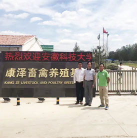 湖羊,湖羊養(yǎng)殖場(chǎng),湖羊懷孕母羊,安徽湖羊,碭山縣康澤畜禽養(yǎng)殖有限公司
