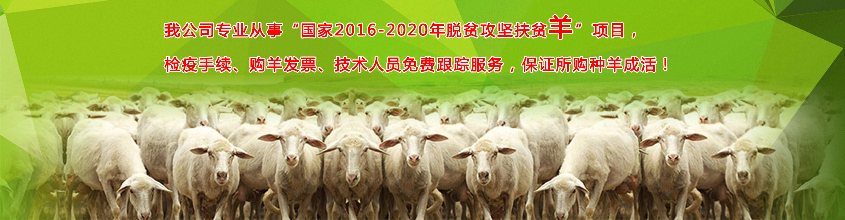 首頁(yè)banner2