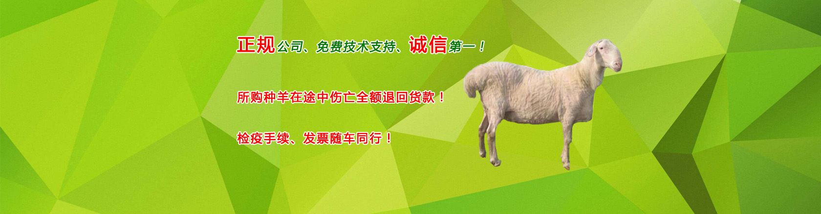 首頁(yè)banner3