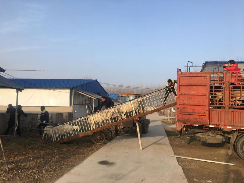 繼續(xù)走車(chē)